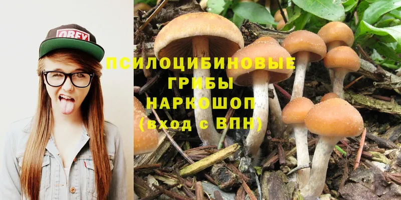 где продают   Полярные Зори  shop клад  Псилоцибиновые грибы MAGIC MUSHROOMS 